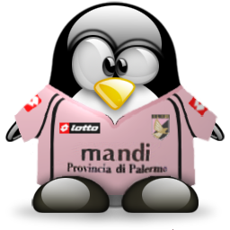 penguin pingouin pinguino 891